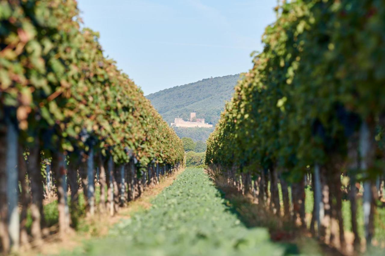 Weingasthaus Wisser Billigheim-Ingenheim Exterior photo